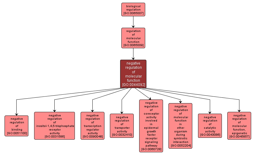 GO:0044092 - negative regulation of molecular function (interactive image map)