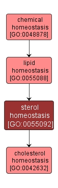GO:0055092 - sterol homeostasis (interactive image map)