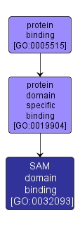 GO:0032093 - SAM domain binding (interactive image map)
