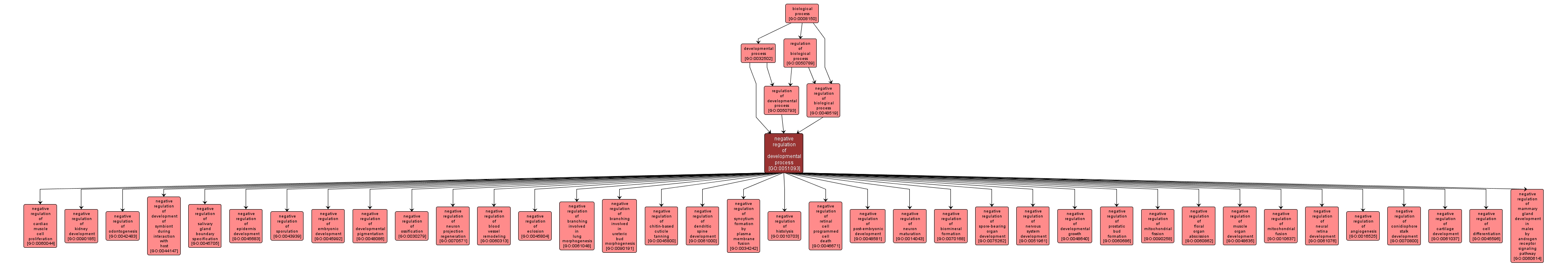 GO:0051093 - negative regulation of developmental process (interactive image map)