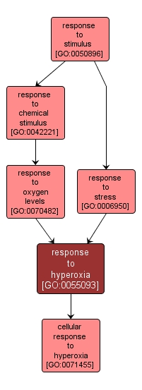 GO:0055093 - response to hyperoxia (interactive image map)