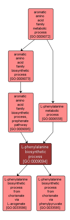 GO:0009094 - L-phenylalanine biosynthetic process (interactive image map)