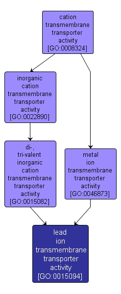 GO:0015094 - lead ion transmembrane transporter activity (interactive image map)