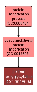 GO:0018094 - protein polyglycylation (interactive image map)