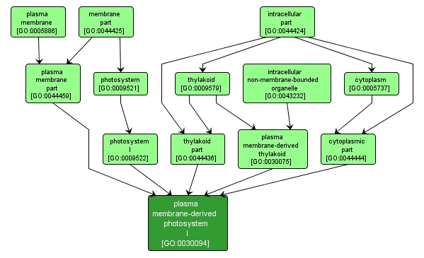 GO:0030094 - plasma membrane-derived photosystem I (interactive image map)