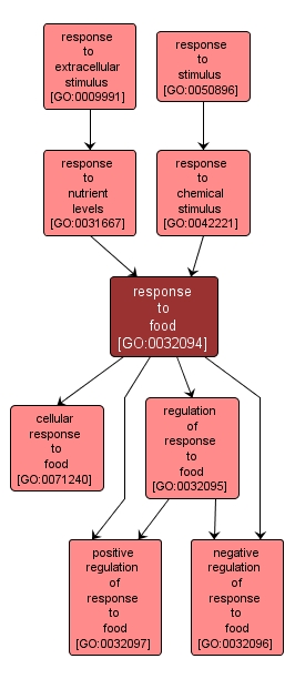 GO:0032094 - response to food (interactive image map)