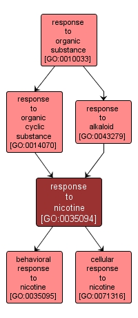 GO:0035094 - response to nicotine (interactive image map)