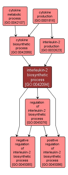 GO:0042094 - interleukin-2 biosynthetic process (interactive image map)
