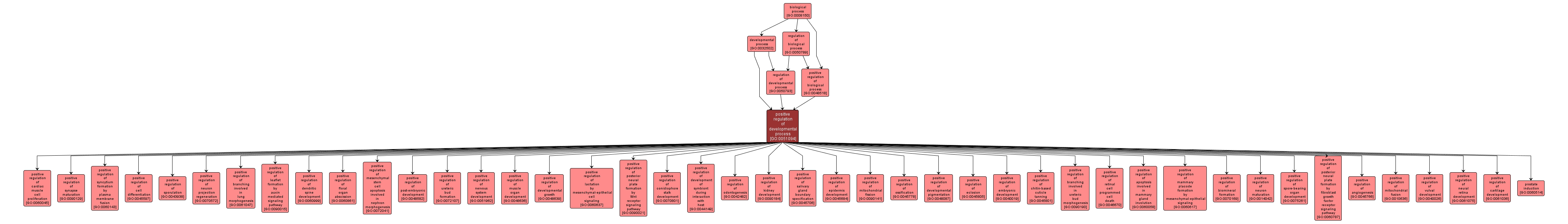 GO:0051094 - positive regulation of developmental process (interactive image map)