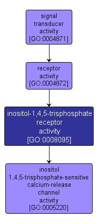 GO:0008095 - inositol-1,4,5-trisphosphate receptor activity (interactive image map)