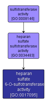 GO:0017095 - heparan sulfate 6-O-sulfotransferase activity (interactive image map)