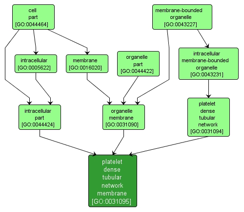 GO:0031095 - platelet dense tubular network membrane (interactive image map)