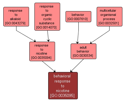 GO:0035095 - behavioral response to nicotine (interactive image map)