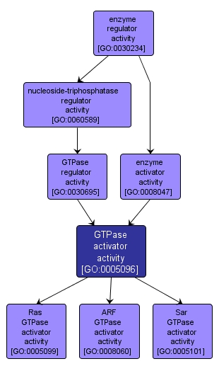 GO:0005096 - GTPase activator activity (interactive image map)