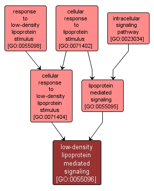 GO:0055096 - low-density lipoprotein mediated signaling (interactive image map)