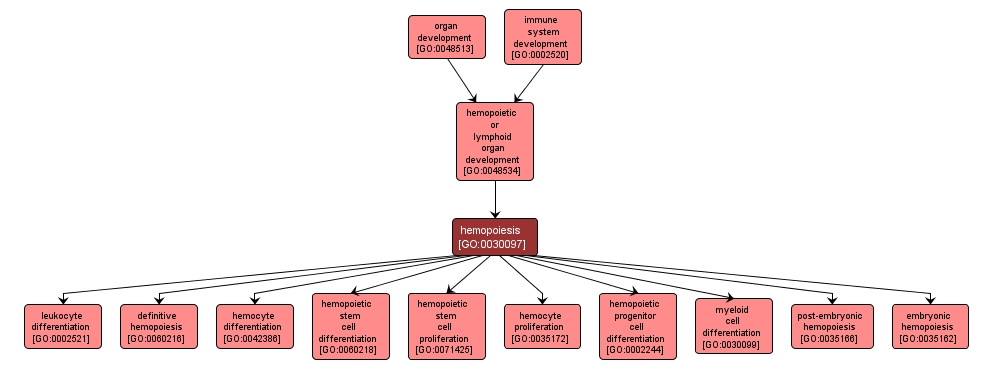 GO:0030097 - hemopoiesis (interactive image map)