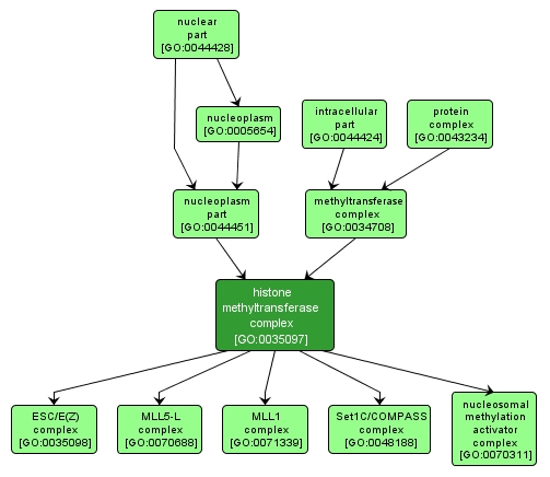 GO:0035097 - histone methyltransferase complex (interactive image map)