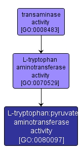 GO:0080097 - L-tryptophan:pyruvate aminotransferase activity (interactive image map)