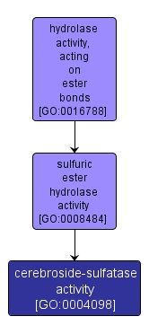 GO:0004098 - cerebroside-sulfatase activity (interactive image map)