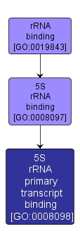 GO:0008098 - 5S rRNA primary transcript binding (interactive image map)