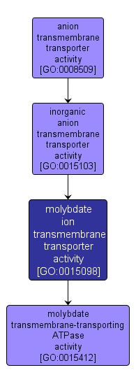 GO:0015098 - molybdate ion transmembrane transporter activity (interactive image map)