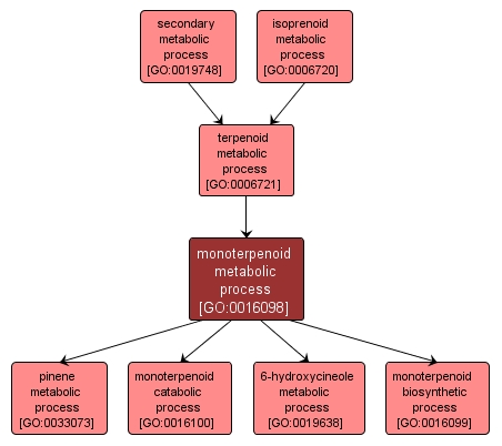 GO:0016098 - monoterpenoid metabolic process (interactive image map)