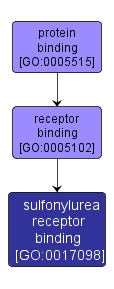 GO:0017098 - sulfonylurea receptor binding (interactive image map)