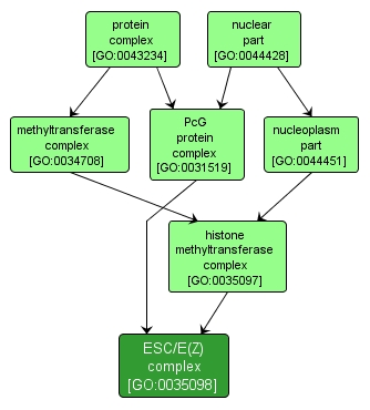 GO:0035098 - ESC/E(Z) complex (interactive image map)