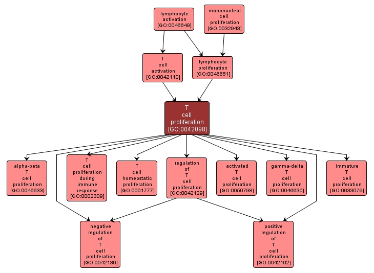 GO:0042098 - T cell proliferation (interactive image map)