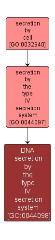 GO:0044098 - DNA secretion by the type IV secretion system (interactive image map)
