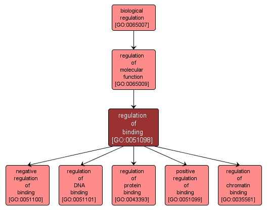 GO:0051098 - regulation of binding (interactive image map)