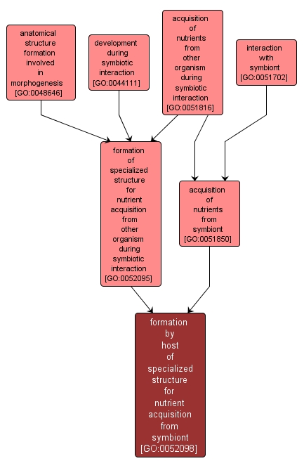 GO:0052098 - formation by host of specialized structure for nutrient acquisition from symbiont (interactive image map)