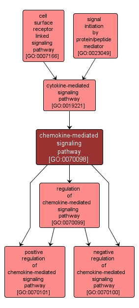 GO:0070098 - chemokine-mediated signaling pathway (interactive image map)