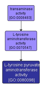 GO:0080098 - L-tyrosine:pyruvate aminotransferase activity (interactive image map)