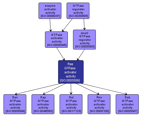 GO:0005099 - Ras GTPase activator activity (interactive image map)