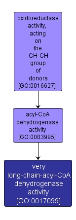 GO:0017099 - very long-chain-acyl-CoA dehydrogenase activity (interactive image map)