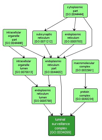 GO:0034099 - luminal surveillance complex (interactive image map)