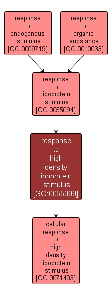 GO:0055099 - response to high density lipoprotein stimulus (interactive image map)