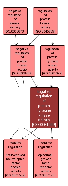 GO:0061099 - negative regulation of protein tyrosine kinase activity (interactive image map)