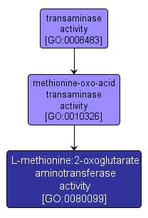 GO:0080099 - L-methionine:2-oxoglutarate aminotransferase activity (interactive image map)