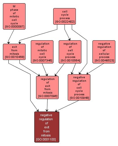 GO:0001100 - negative regulation of exit from mitosis (interactive image map)