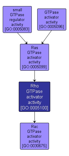 GO:0005100 - Rho GTPase activator activity (interactive image map)