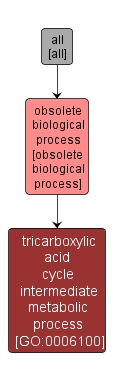 GO:0006100 - tricarboxylic acid cycle intermediate metabolic process (interactive image map)