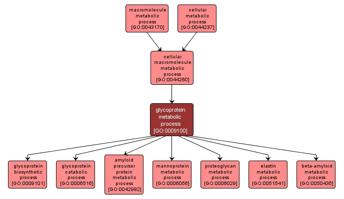 GO:0009100 - glycoprotein metabolic process (interactive image map)