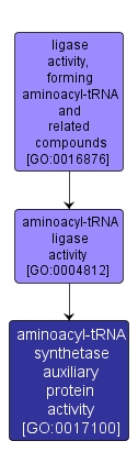 GO:0017100 - aminoacyl-tRNA synthetase auxiliary protein activity (interactive image map)