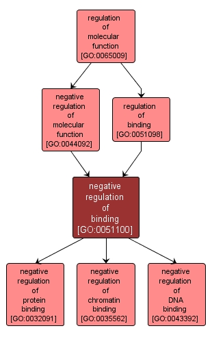 GO:0051100 - negative regulation of binding (interactive image map)