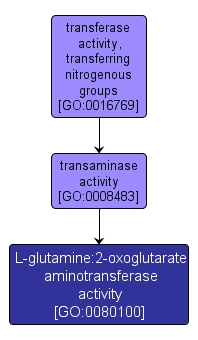 GO:0080100 - L-glutamine:2-oxoglutarate aminotransferase activity (interactive image map)