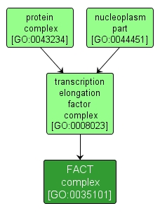 GO:0035101 - FACT complex (interactive image map)