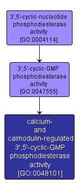 GO:0048101 - calcium- and calmodulin-regulated 3',5'-cyclic-GMP phosphodiesterase activity (interactive image map)