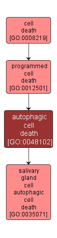 GO:0048102 - autophagic cell death (interactive image map)